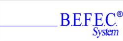 The B.e.f.e.c. International - Italia - SRL