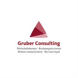 Gruber Consulting Srl Stp