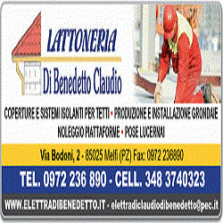 DL di  Benedetto Lattoneria