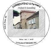 Sorrentino & Partners - Project & Consulting