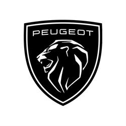 Citroën e Peugeot Gozzini