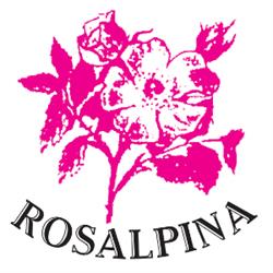 Meublè Rosalpina