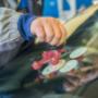Gallery Professionale