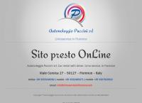 Sito di Autonoleggio Puccini