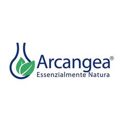 Arcangea SRL