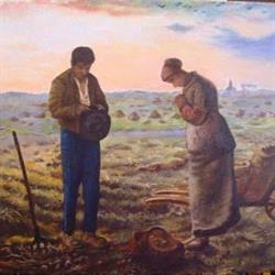Erboristeria La Madre Terra
