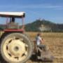 SPIANAMENTO TERRENO AGRICOLO