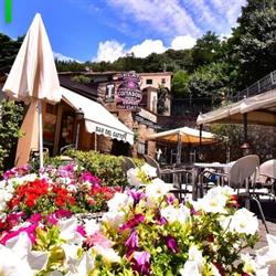 Bar Del Gatto