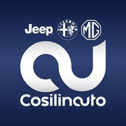 Cosilinauto S.r.l.