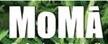 Momasolo Srl