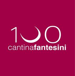 Cantina Fantesini Società Agricola