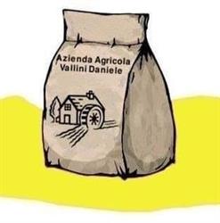 Azienda Agricola Vallini Di Olivetti Alberto