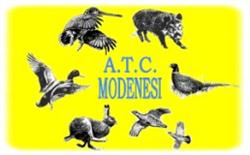 A. T. C. Centro Servizi Modena