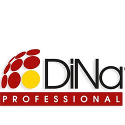 Dina Professional SRL