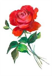 Alb. La Rosa Testa Rosa Maria