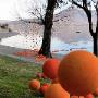 Vista sul Lago