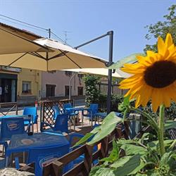 Il Bar Di Bianchini Catia Catia