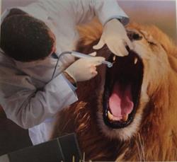 Studio Dentistico Dr. Alessandro Tilli