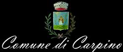 Comune Di Carpino