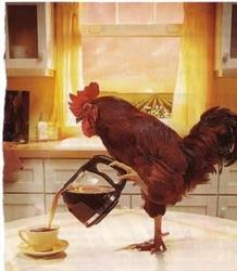 B&b Il Gallo Felice SAS