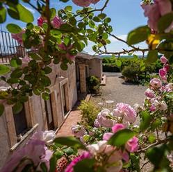 Agriturismo La Frescura