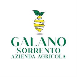 Azienda Agricola Galano - Lemon Tour Experiences