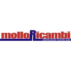 Mollo Ricambi