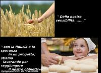 Sito di Dallapagnotta SRL