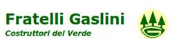 Gaslini Dr. Lodovico