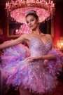 Ballet Beauty