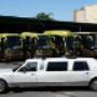 Limousine