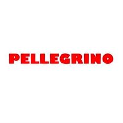 Pellegrino Domenico
