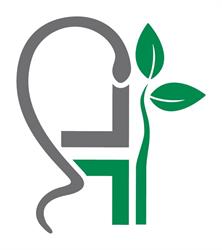 Farmacia San Gallo Del Dr. Lorenzo Miolli & C. Sas
