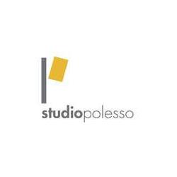 Dott. Fulvio Polesso