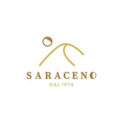 Saraceno Ieri - Oggi - Domani