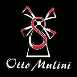 Otto Mulini