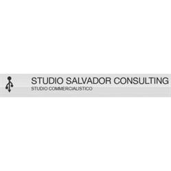 Studio Salvador Consulting