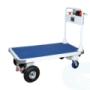 Carrello Elettrico