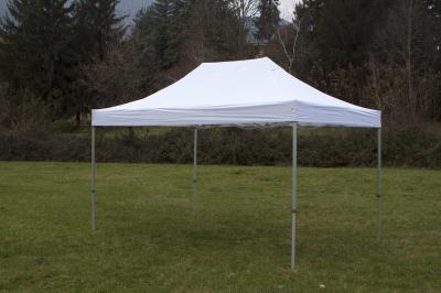 GAZEBO-4X6