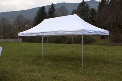 GAZEBO-4X8