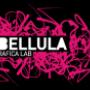 LOGO LIBELLULA
