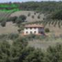 Casale