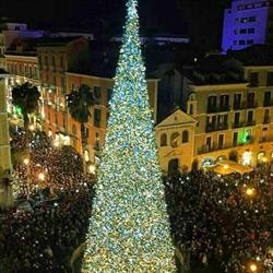 Decolight SRL Di Criscuolo Gennaro Luminarie