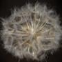 soffione inglobato nel plexiglas