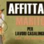 Caricato da visitatore il 17/02/2017