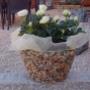 vasi in pietra made in Italy