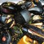 pepata di cozze