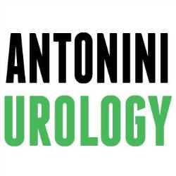 Antonini Prof. Gabriele