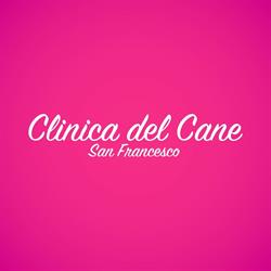Clinica Del Cane San Francesco