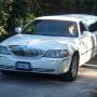passion limousine service